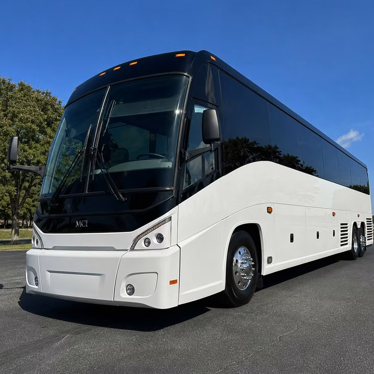 alexandria concert music festival bus rentals