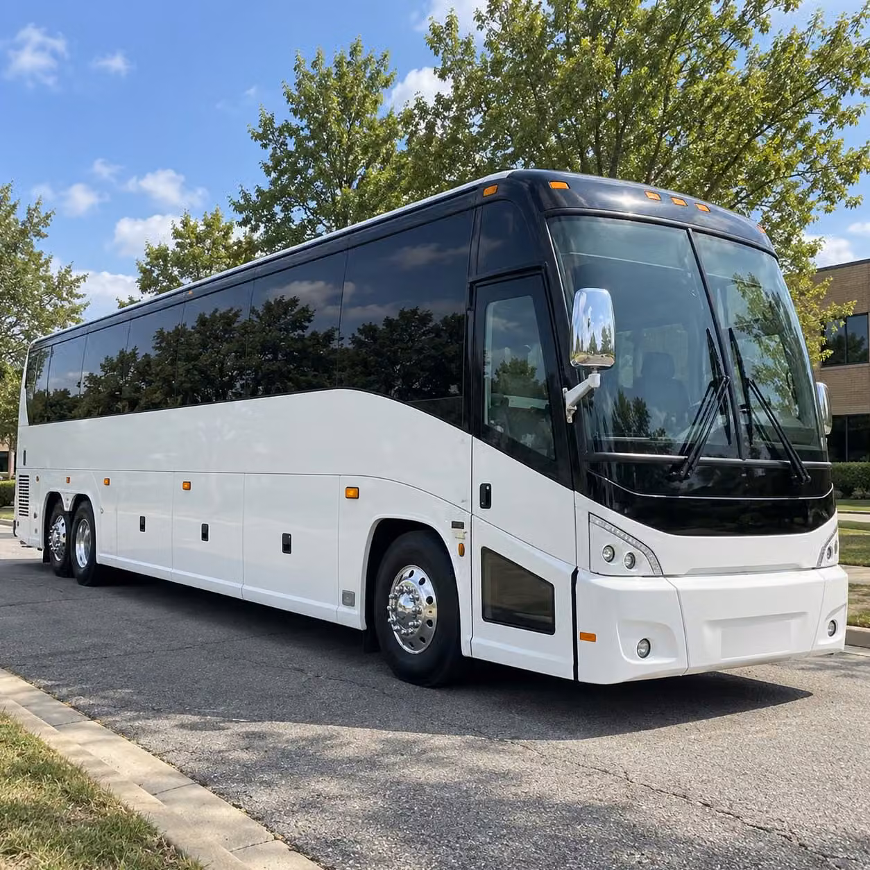 alexandria prom limo bus rentals that kick the night off right