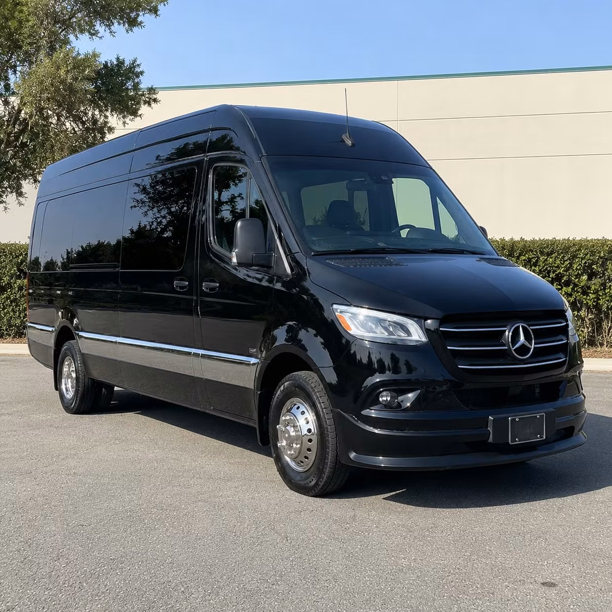 alexandria sprinter limo rental