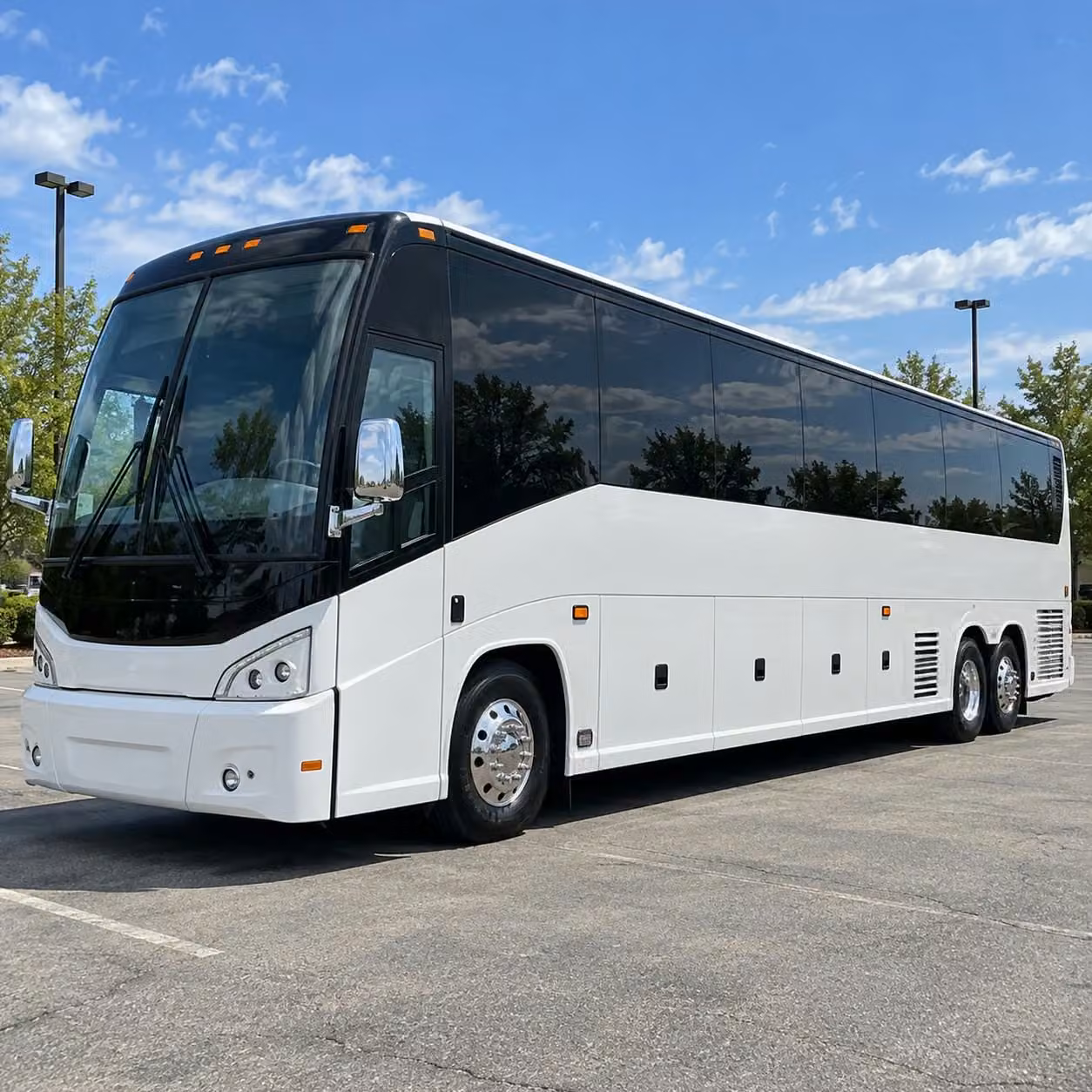 fill out one form and get alexandria prom transportation pricing in under 30 seconds